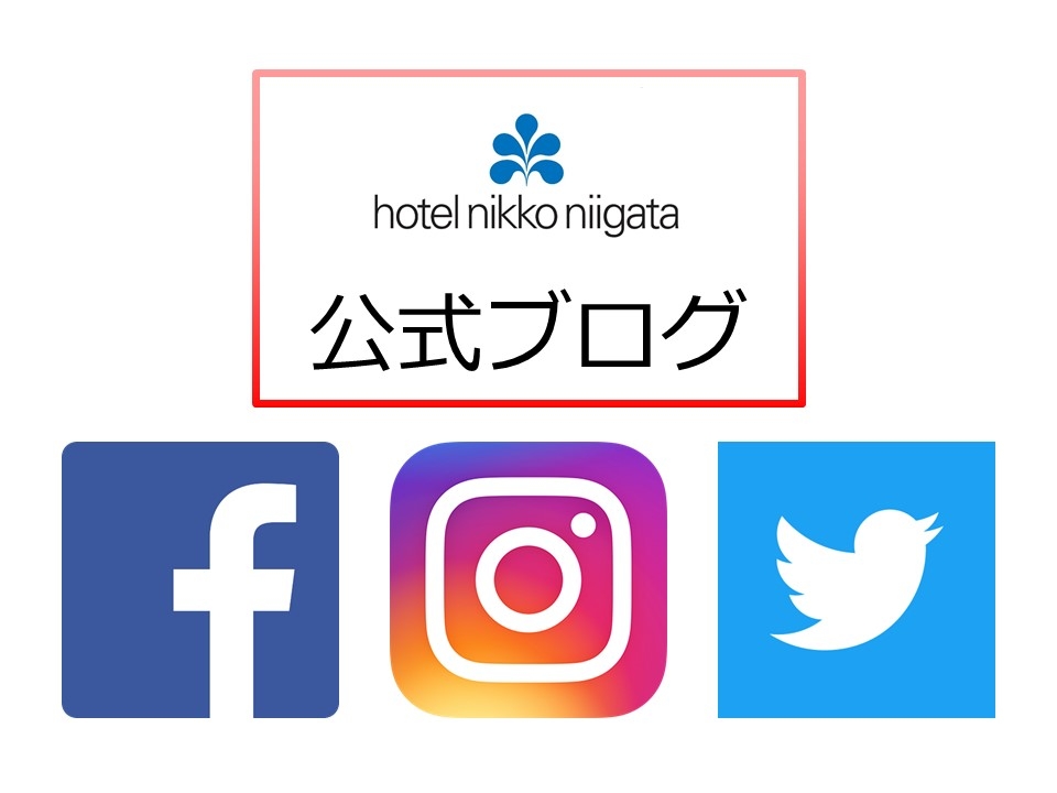 インスタ始めました。2